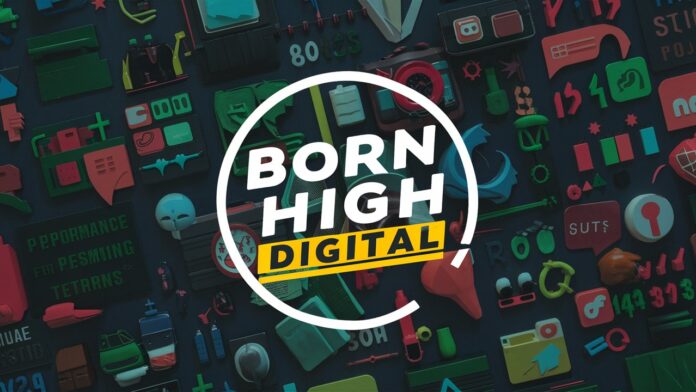 Born High Digital Internship; Stipend Rs. 8,000 / Month: Apply By 19th July